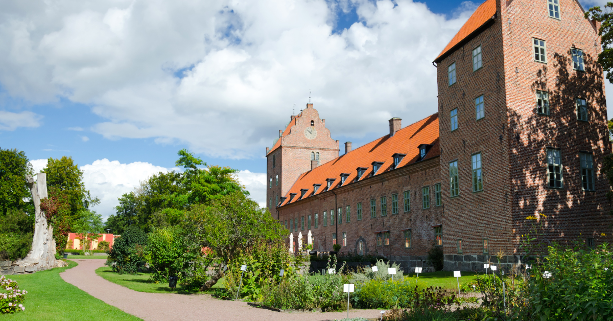 Samhällskunskapsprovet och Sveriges Historia: Förstå Rötterna till Dagens Samhälle